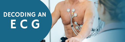Decoding and Understanding ECGs