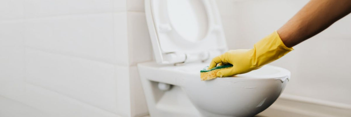 Cleaning & Hygiene > Toilet Essentials