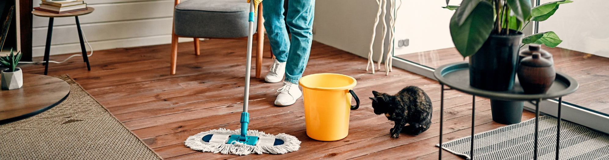 Veterinary > Cleaning Supplies