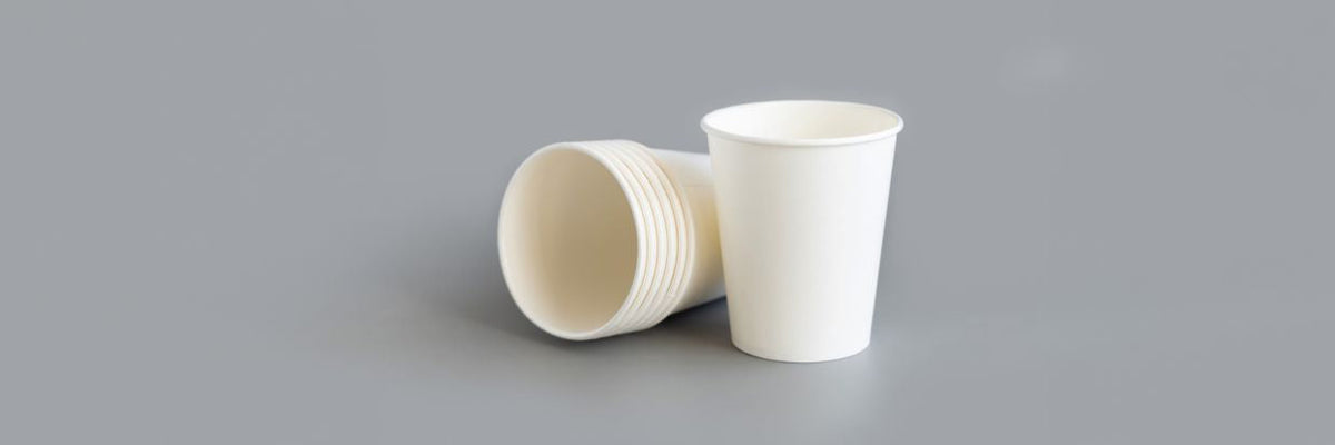 Kitchen > Cups & Accessories