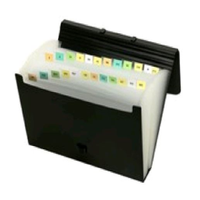 EXPANDING FILE FOOLSCAPE PLASSTIC 26 POCKETS EA Each