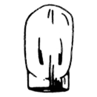 Caulk type crowns D1 loose Each