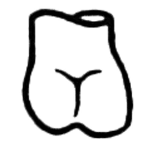 Odus pella refill R6 loose Each