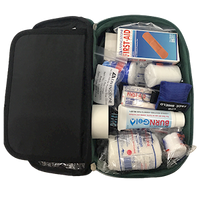 Livingstone Everyday Use First Aid Kit, Complete Set in Green Pouch, Each Each