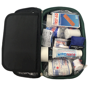 Livingstone Everyday Use First Aid Kit, Complete Set in Green Pouch, Each Each