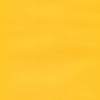 SPEC. OPTIX PATI OCHRE 200GSMA4 500/RM Ream