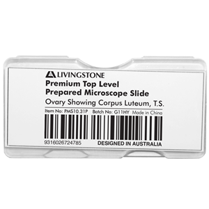 Livingstone Premium Top Level Prepared Slide, Ovary Showing Corpus Luteum, Transverse Section, Each Each
