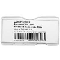 Livingstone Premium Top Level Prepared Slide, Muscle Striated, Longitudinal Section, Each Each