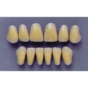 ULTRADENT ANT. A25/62 UPPER (1x6 CARD) Card
