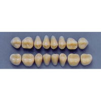 ULTRADENT POST 30L/65 LOWER (1x8 CARD) Card