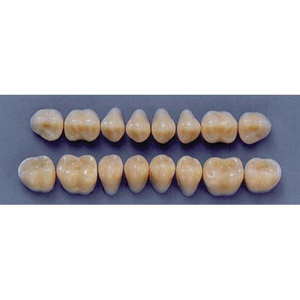 ULTRADENT POST. 31M/A3 LOWER (1x8 CARD) Card