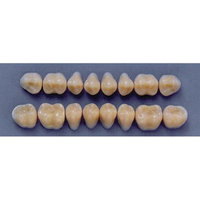 ULTRADENT POST. 31M/62 UPPER (1x8 CARD) Card