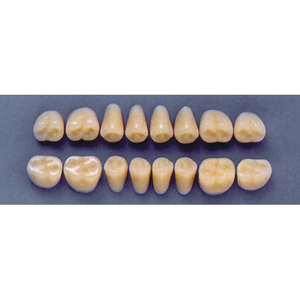 ULTRADENT POST. 31Z/67 LOWER (1x8 CARD) Card