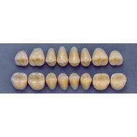 ULTRADENT POST. 32F/77 LOWER (1x8 CARD) Card