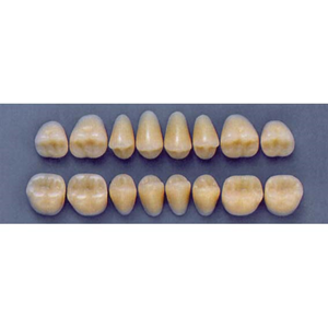ULTRADENT POST. 32F/65 UPPER (1x8 CARD) Card