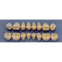 ULTRADENT POST 32L/67 LOWER (1x8 CARD) Card