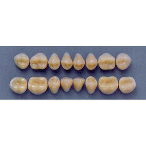 ULTRADENT POST 32M/62 LOWER (1x8 CARD) Card