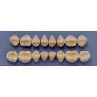 ULTRADENT POST 32M/62 UPPER (1x8 CARD) Card