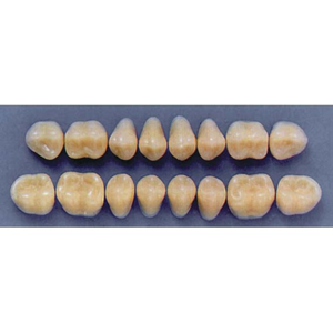 ULTRADENT POST. 33M/81 UPPER (1x8 CARD) Card
