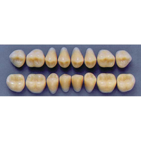 ULTRADENT POST 34L/77 UPPER (1x8 CARD) Card
