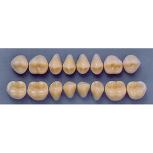 ULTRADENT POST 34M/69 LOWER (1x8 CARD) Card