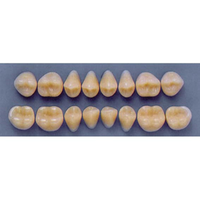 ULTRADENT POST 34M/77 UPPER (1x8 CARD) Card