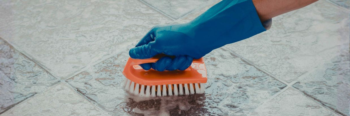 Cleaning & Hygiene > Scrubs, Sponges & Brushes