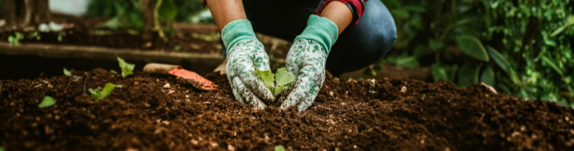 Packaging & Cleaning > Safety and Hand Protection > Polyurethane Gloves