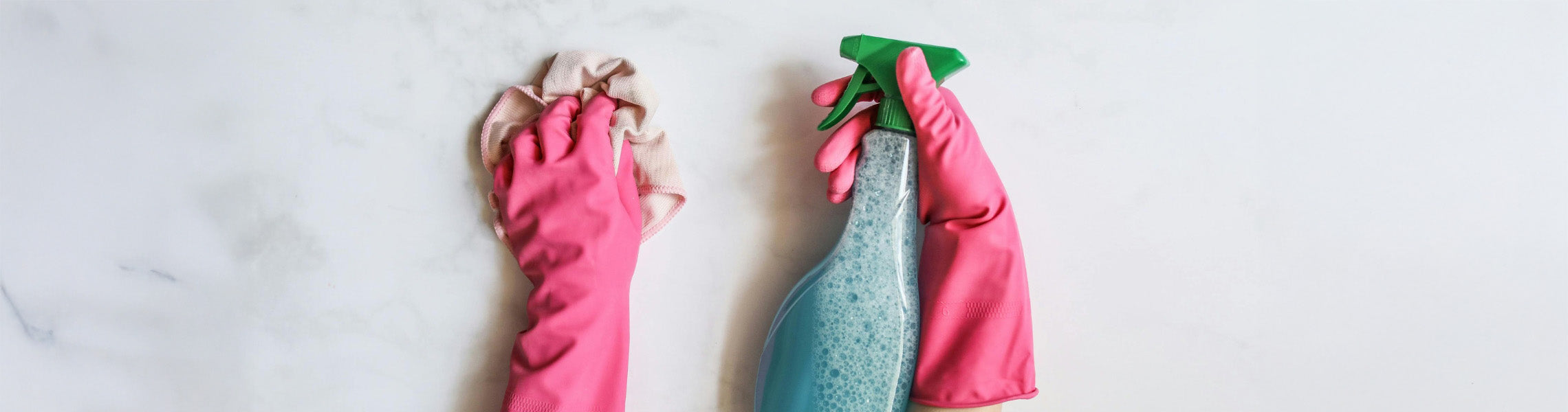 Packaging & Cleaning > Cleaning Products