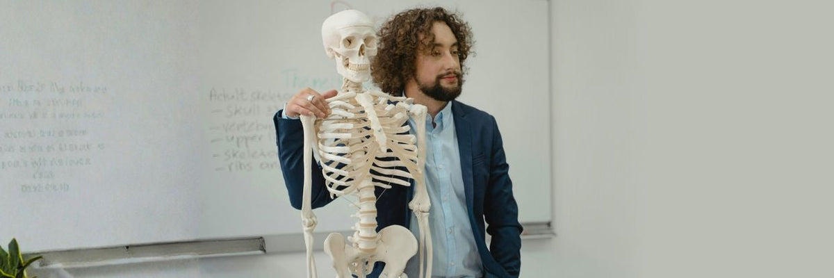 Laboratory Science > Charts and Models