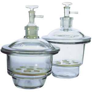 Livingstone Desiccator