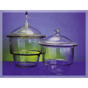 Livingstone Desiccator