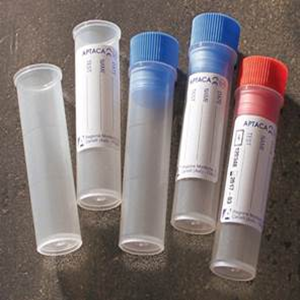 Aptaca Cylindrical Test Tube Flat Bottom Sterile