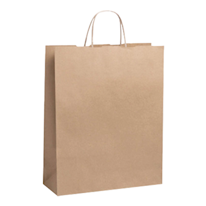 Livingstone Paper Carry Bags, A4, 350(L) x 260(W) mm, Brown, 250 Pieces/Carton Carton