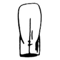 Caulk type crowns E2 loose Each
