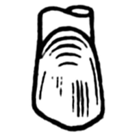 Odus pella refill R33 loose Each