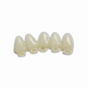 SDI Super Crown Temp Polycarbonate Crown