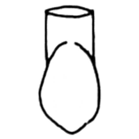 FRASACO TYPE CROWNS 331 5/PK Pack