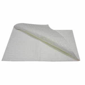 Dental Bib, 4-Ply, 20 x 28cm, 250/Pack Pack