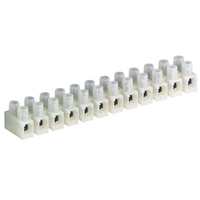 Terminal Block, 12 Pole Large 300 Volt 10A Each