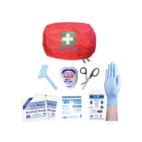 Livingstone AED (Automated External Defibrillator) Ready Kit, Red, Pouch, Each Each