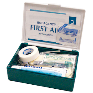 Livingstone Personal First Aid Kit, Complete Set In Green Recyclable Plastic Case