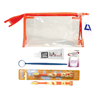 Livingstone Oral Hygiene Care Kit, Complete Set In Plastic Pouch, 1 Kit/Pack, Each