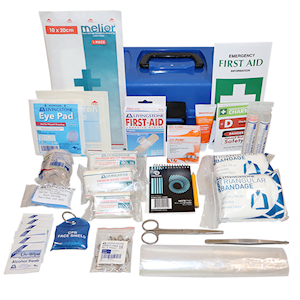 Livingstone Victoria Micro First Aid Kit