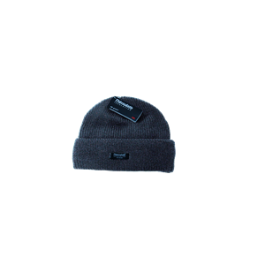 Thinsulate Freezer Beanie