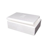 Livingstone Foam Cooler Box, 9 Litres, 385 x 290 x 150mm, with Lid, Each Each