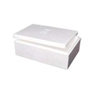 Livingstone Foam Cooler Box, 9 Litres, 385 x 290 x 150mm, with Lid, Each Each