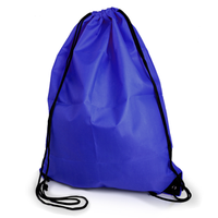 Multipurpose Bag with Drawstring, Nylon, 48cm x 39cm, Blue, Each Each