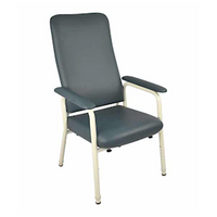 Royale Medical Highback Chair, Forest Slate, 205kg Capacity, Each Each