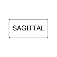 "SAGITAL" - X-RAY LABEL 500/BOX Box